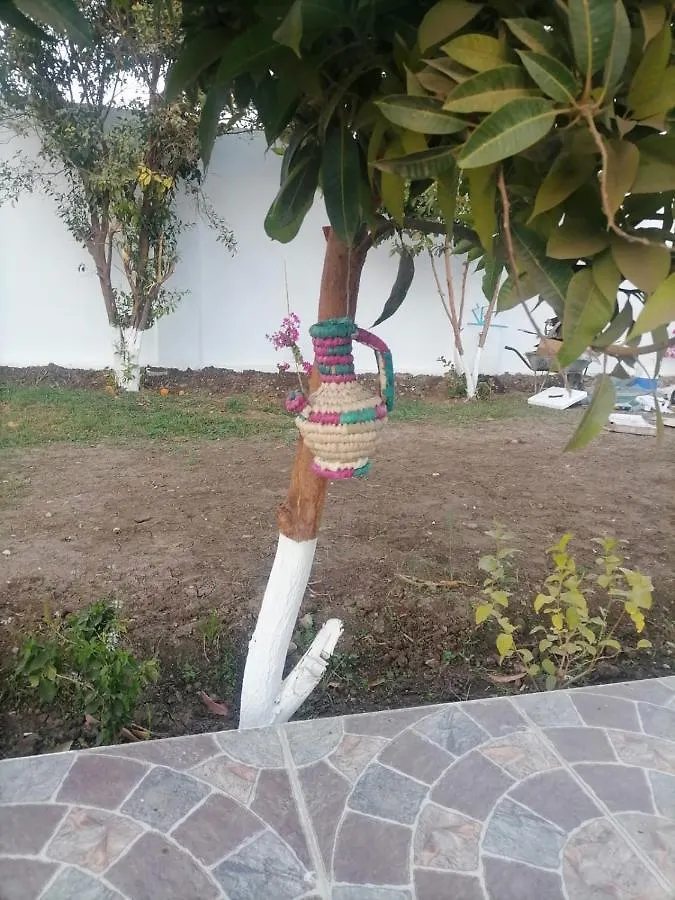Djorff Garden Villa Luxor Egypt