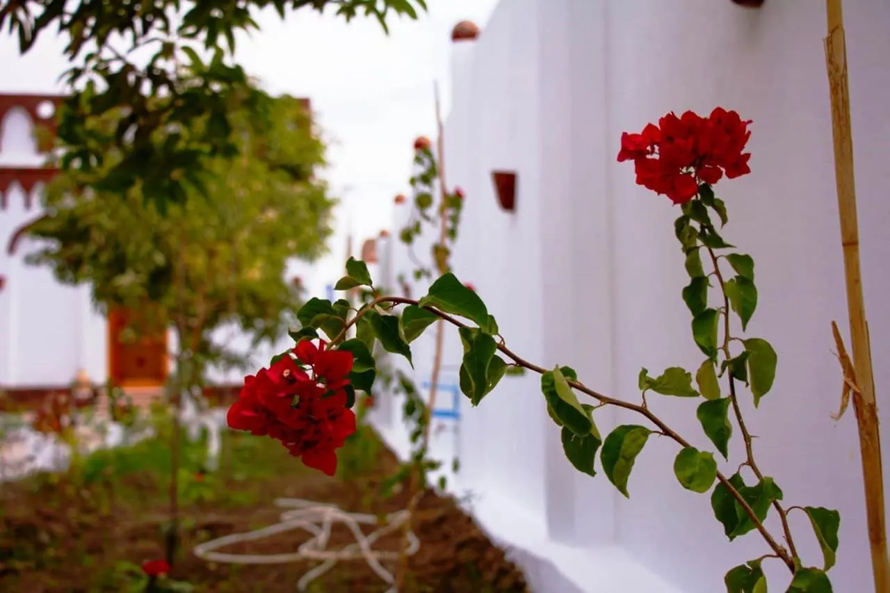 Djorff Garden Villa Luxor