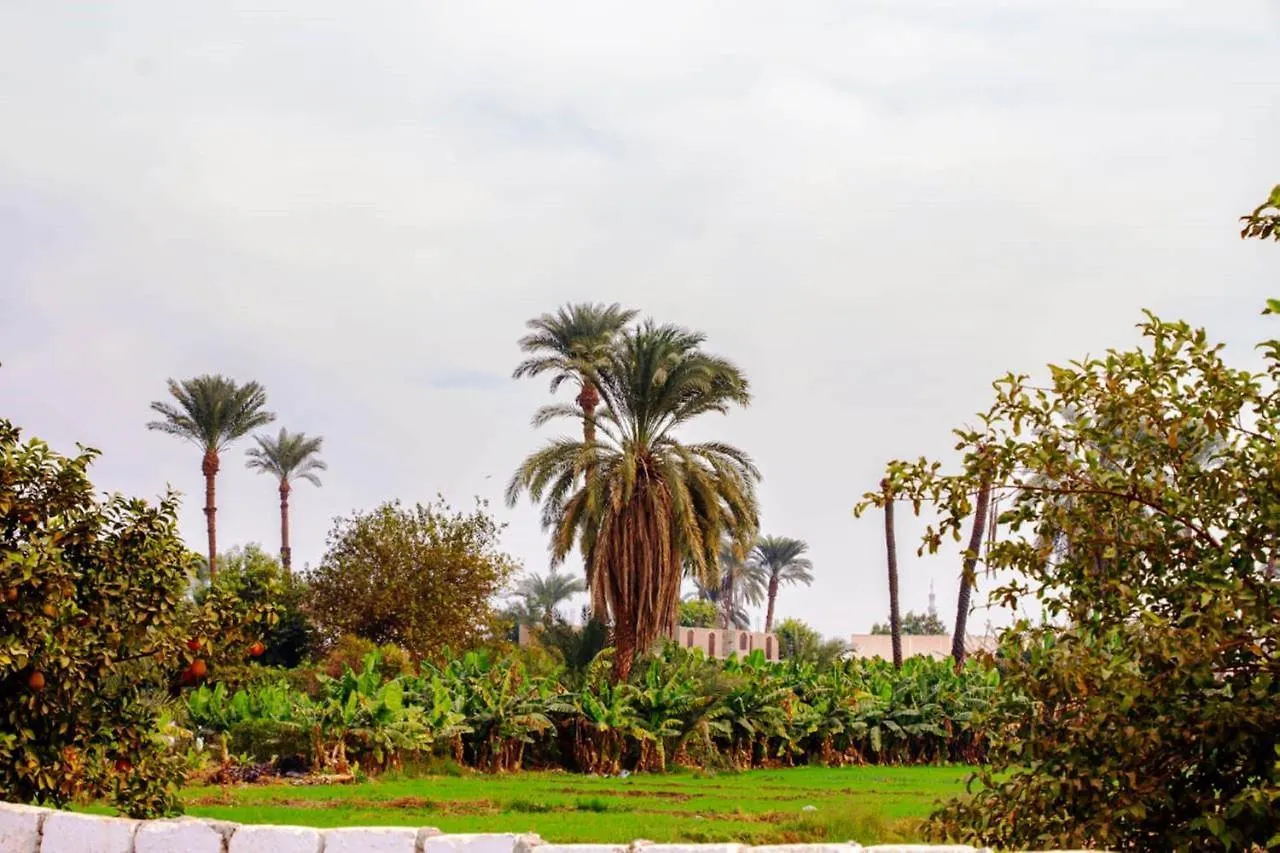 Djorff Garden Villa Luxor