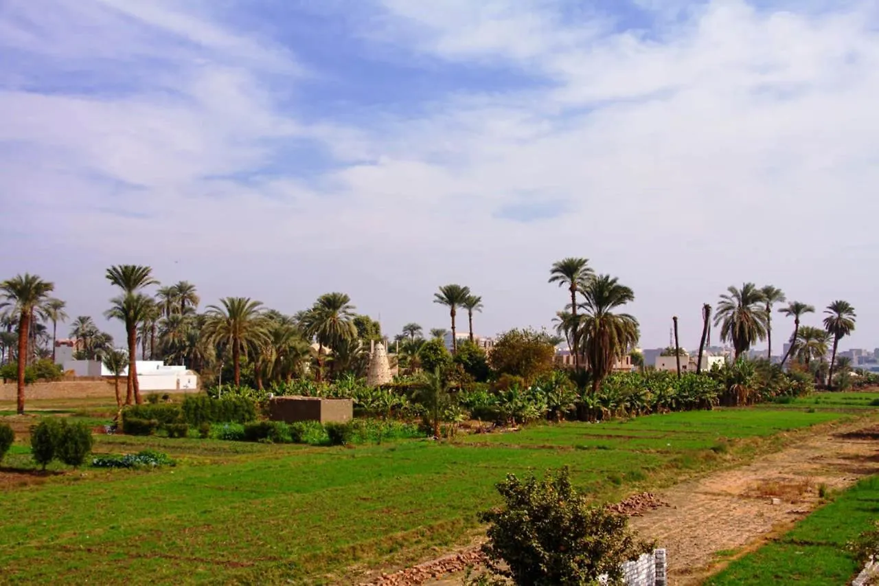 Djorff Garden Villa Luxor